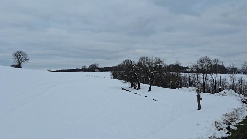 Tranquil snow-covered nature scene – beautiful winter landscape