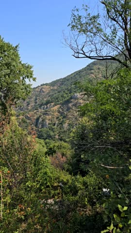 Mountain landscape in Bulgaria with forested hills and rocky slopes surrounded by lush green trees under clear blue sky creating scenic summer nature view