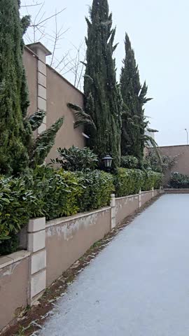 Video still of a quiet residential courtyard during gentle snowfall with tall cypress trees and manicured hedges leading to an elegant wrought iron gate under an overcast winter sky