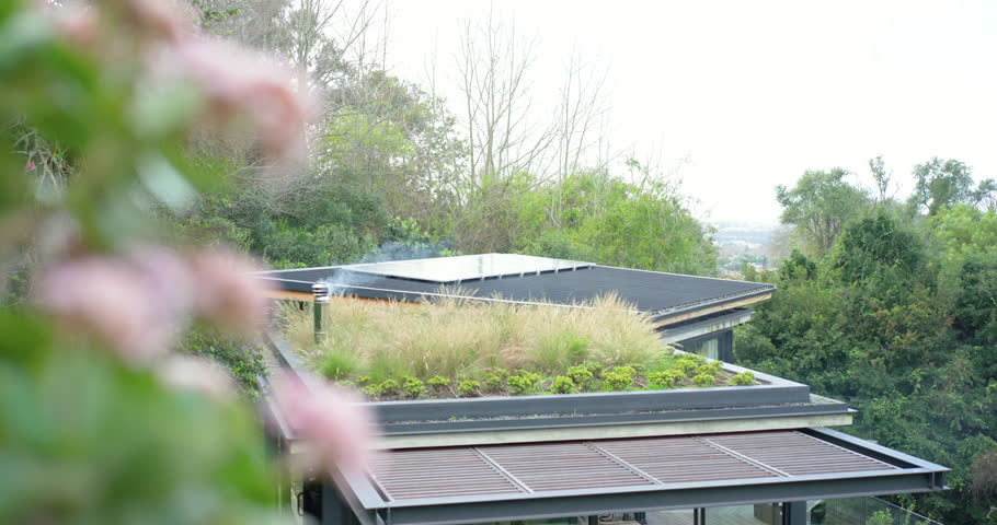 Camera panning by blossoms revealing house rooftop garden, chimney emitting smoke for atmosphere. Greenery, architectural, landscape, serenity, eco-friendly, tranquility, modern