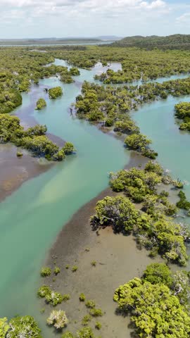 High angle drone shot glides over turquoise river channels and lush green mangrove forests