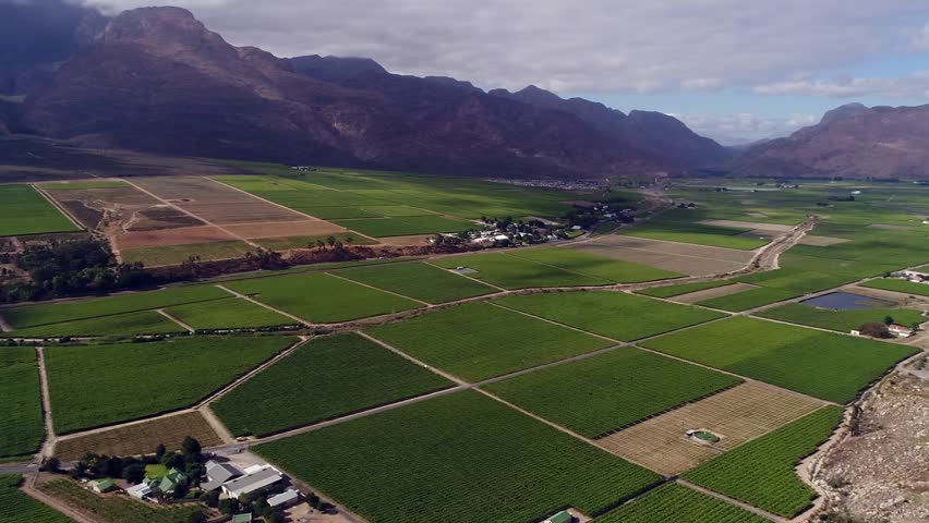 Panoramic pan shot across valley full of orchard agriculture fields