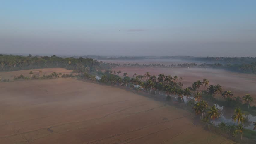 Serene Morning Vibes Over Paddy Fields in Alappuzha Kerala,Scenic Kerala Backwaters with Lush Green Paddy Fields
Golden Sunrise Over River and Palm Trees in Alappuzha