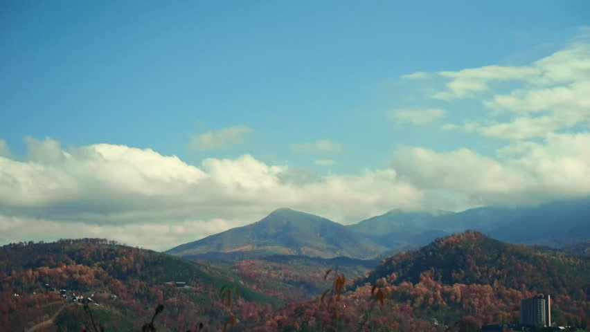 Colorful autumn forest in Great Smoky Mountains, scenic mountain landscape. zoom shot
