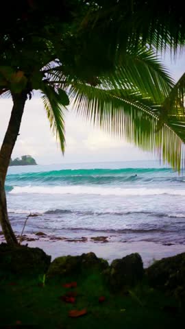 Vertical shot of tropical beach framed by palm trees with rolling ocean waves. Scenic coastal view in Los Cristianos, Tenerife.
