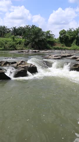 Tropical River Rapids with Rocky Cascades 

A serene tropical river features white water rapids flowing over dark, smooth rocks, surrounded by lush green palm trees under a bright, cloudy sky.