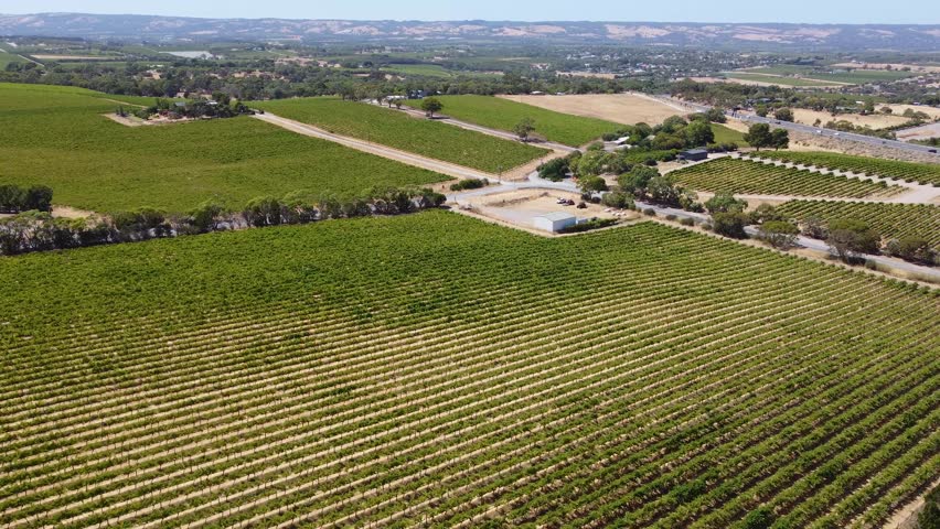 Aerial View of Vineyard Rows and Winery Buildings in McLaren Vale South Australia. Aerial drone footage showcases vineyard rows and winery buildings in McLaren Vale South Australia.