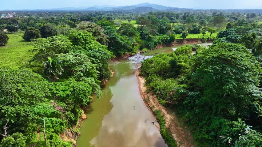 A stunning view of a river estuary in the Dominican Republic's Los Haitises National Park. Dense mangrove forest. The blue sky reflects in the calm water. A journey to a tropical paradise.