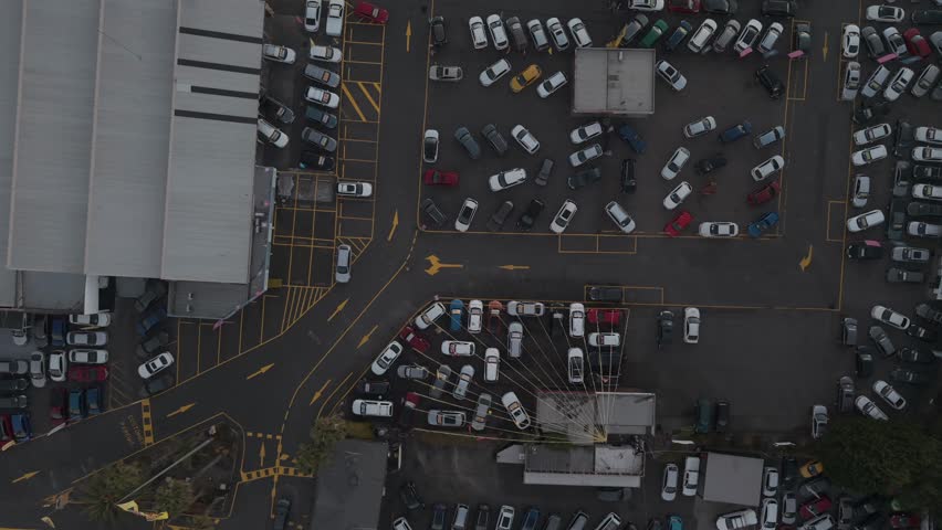 Drone video capturing a bird