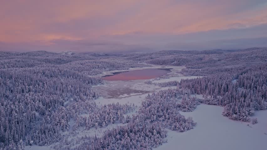 Snow-covered Forests Surround a Partially Frozen Lake Glowing Beneath a Pink Winter Sky - Drone Flying Forward