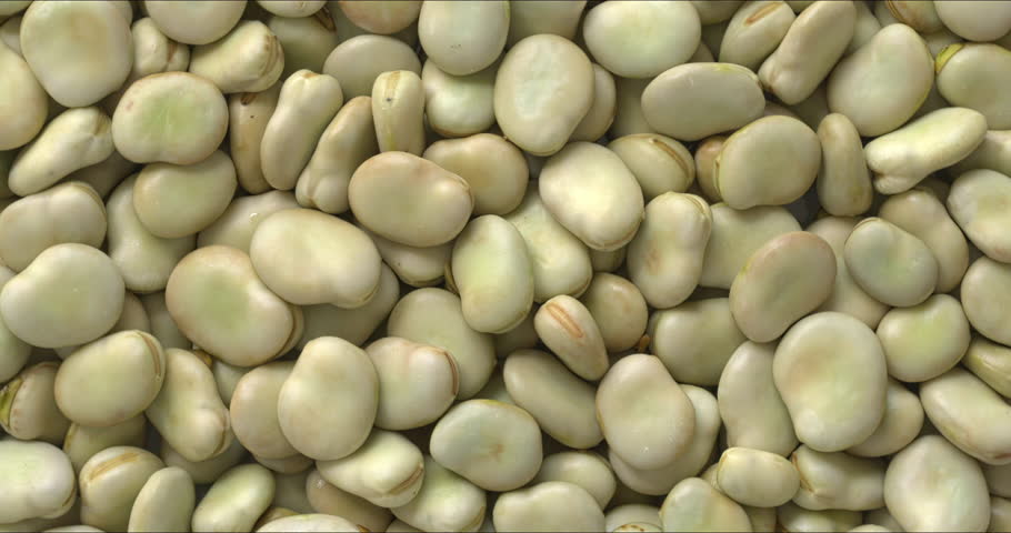 Fresh, shelled fava beans (Vicia faba) with their second skin visible. A rotating food item as a background texture. Shot from above.