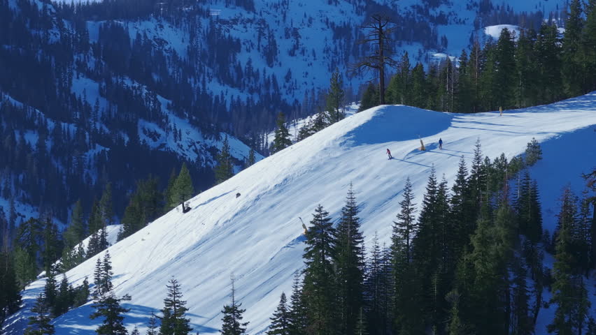 Fast downhill skiing during snowfall at Palisades Tahoe, California, USA. Skier races down snow covered mountain slope surrounded by pine forest, capturing dynamic winter sports motion.