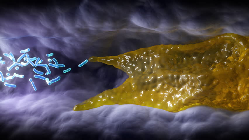 Medical illustration of beneficial bacteria (probiotics) cleaning and detoxifying the human gut.