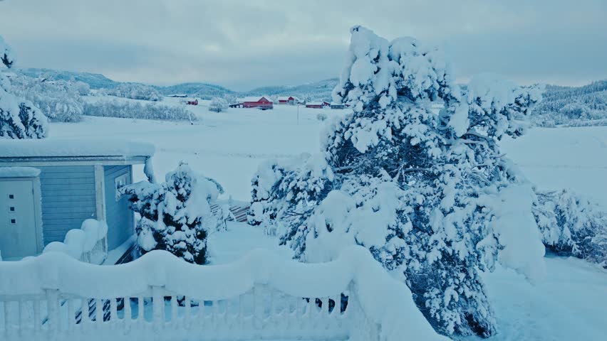 Snowy Winter Landscape With Snow-Covered Trees And Houses. Aerial Drone Shot