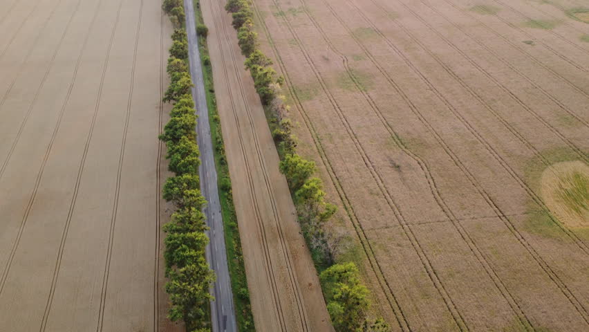 Panoramic landscape agricultural fields of ripe wheat,asphalt road, industrial plants on summer evening. Agricultural agrarian scenery. Aerial drone view. Top view.