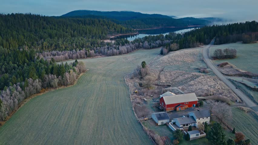 A Rural Farmstead With a Red Barn and Several Houses Sits Beside Wide Open Fields and a Forested Hillside - Aerial Drone Shot