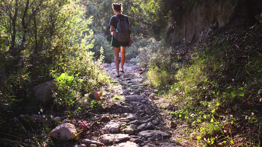 View of hiking trail from Paleokastritsa to Lakones, Old Donkey path, Corfu island, Kerkyra, Greece, Ionian sea islands, with olive grove forest and mountains, in summer sunny day, trekking on Corfu