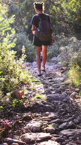 View of hiking trail from Paleokastritsa to Lakones, Old Donkey path, Corfu island, Kerkyra, Greece, Ionian sea islands, with olive grove forest and mountains, in summer sunny day, trekking on Corfu