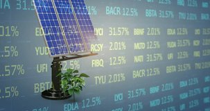 Animation of financial data processing over solar panel with green plants on blue background. Global sustainability, business, green and solar energy concept digitally generated video. - Powered by Shutterstock - Get 15% off with code: PIKWIZARD15