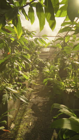 Sunlit corridor with vibrant plant life, Botanical conservatory pathway filled with lush greenery and activity