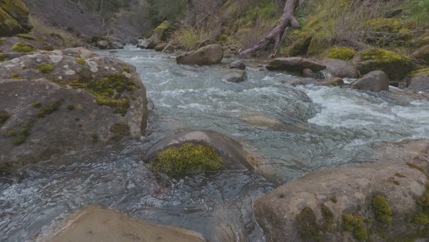 California Winter Stream Flowing Over Mossy Rocks
