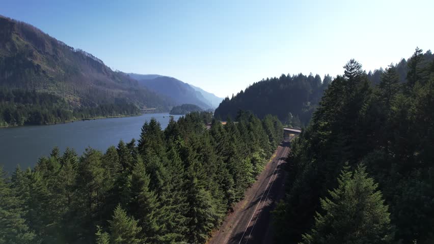 Aerial of the Columbia River Gorge in summer of late afternoon.  Push drone shot over tree line towards river.