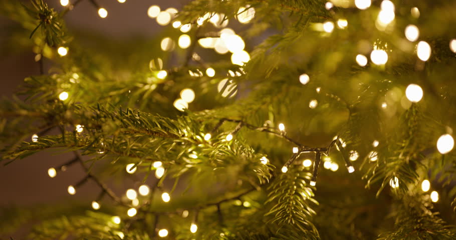 Close-up view of Christmas lights on a holiday tree, creating a festive bokeh effect.