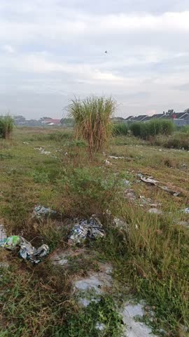 Tropical lush green vegetation with wild bushes and trees under a bright sky in a rural meadow landscape environment