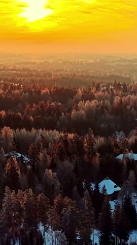 Flying over huge winter forests under an orange sunset in a vertical shot.