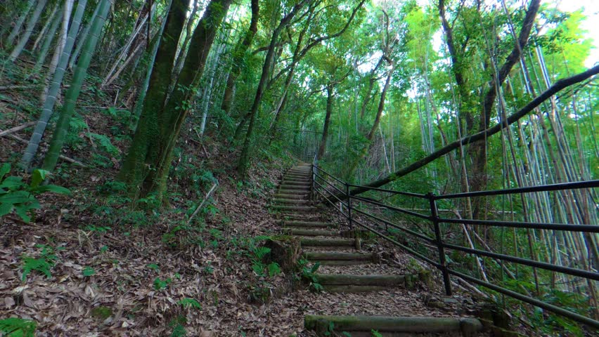 Fixed Shot of Wooden Stairs on a Mountain Path Surrounded by Trees