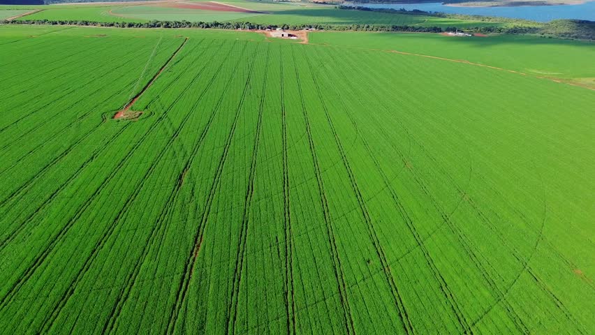 Drone shot of expansive green farmland with crop lines and rural horizon.