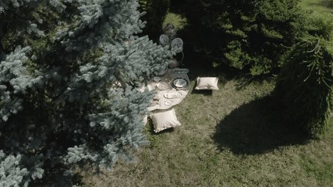 Aerial Rotation over Conifer Garden Installation