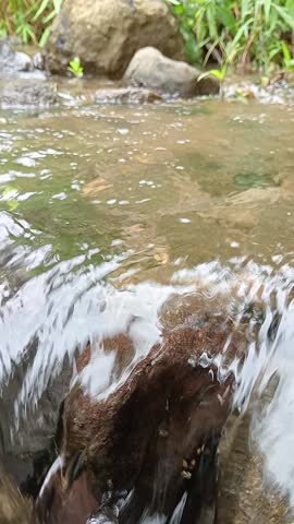 Small natural forest waterfall flowing over a large rock into clear stream water.