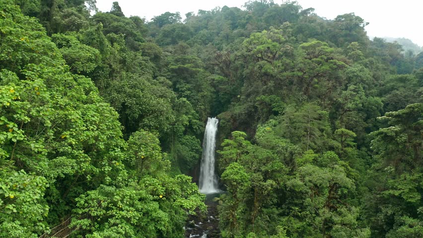Aerial view of the stunning Magia Blanca waterfall cascading through the lush rainforest of La Paz Waterfall Gardens, capturing vibrant greenery and dramatic tropical scenery