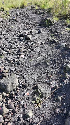 High-quality vertical shot of a rocky mountain hiking trail surrounded by wild savanna grass. The path leads towards lush green hills under a misty sky, capturing the raw beauty of volcanic landscapes and outdoor adventure in a serene tropical highland.