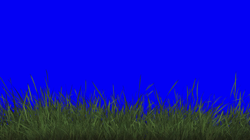 nature, grass, background, green, meadow, natural, field, summer, plant, landscape, environment, garden, lawn, spring, leaf, outdoor, texture, season, fresh, organic, growth, foliage, ecology, park, illustration, abstract, closeup, design, flora, color, botanical, pattern, clean, eco, freshness, outdoors, autumn, calm, art, sunlight, peaceful, forest, artwork, flower, simple, farm, isolated, graphic, vibrant, weed