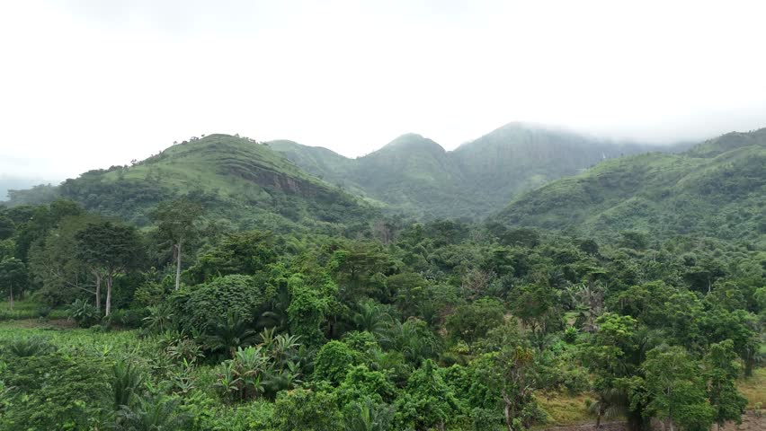High-angle drone footage showing the vast green canopy of the tropical jungle and rolling hills under a cloudy sky in the Wli region of Ghana. Pristine African wilderness.