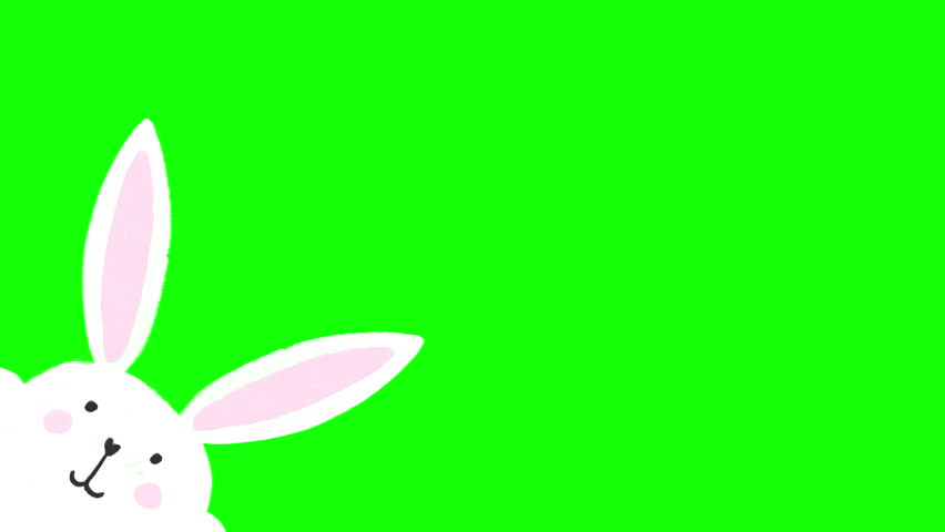 Sweet Easter Bunny Hand-Drawn Illustration Cartoon Animation Hopping on Screen from Left Corner on Chroma Key Greenscreen Background - 4K Square Seamless Loop Video