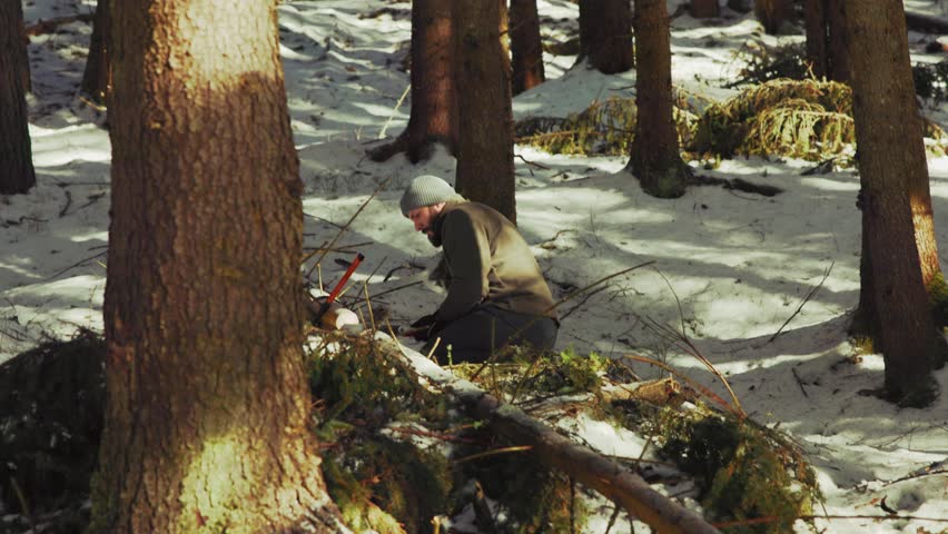 Strong lumberjack cutting a fallen tree with an ax in a snowy coniferous forest during winter