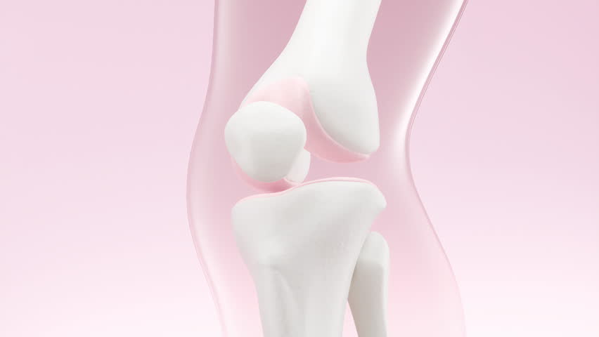 pink collagen bubbles absorbing into the knee joint to repair cartilage, For collagen supplements to support bone and joint health.