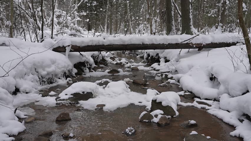 A river running past snow-dusted spruce trees. A winter forest river with icy edges. A woodland stream in freezing weather.