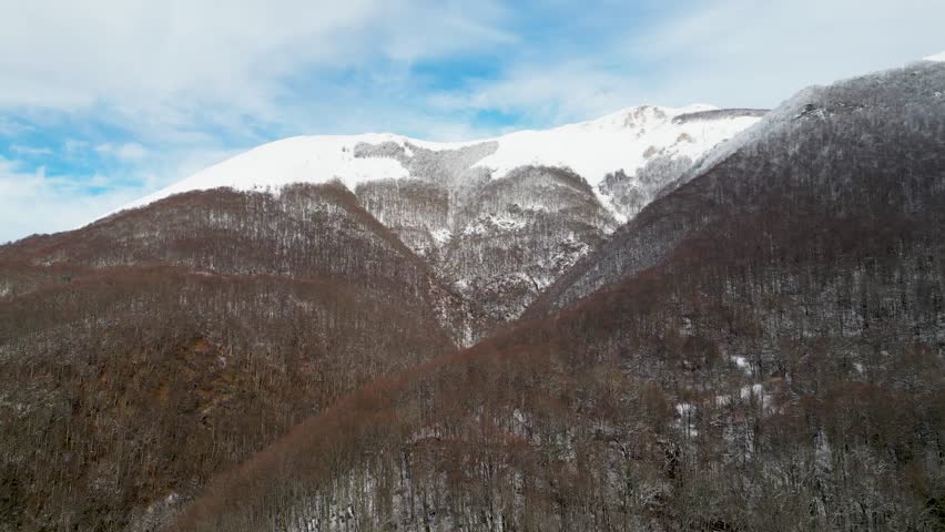Aerial view of a snowy mountaintop covered with forest and bare winter trees. The scene captures a cold alpine landscape, peaceful wilderness, and the beauty of nature during winter from above.