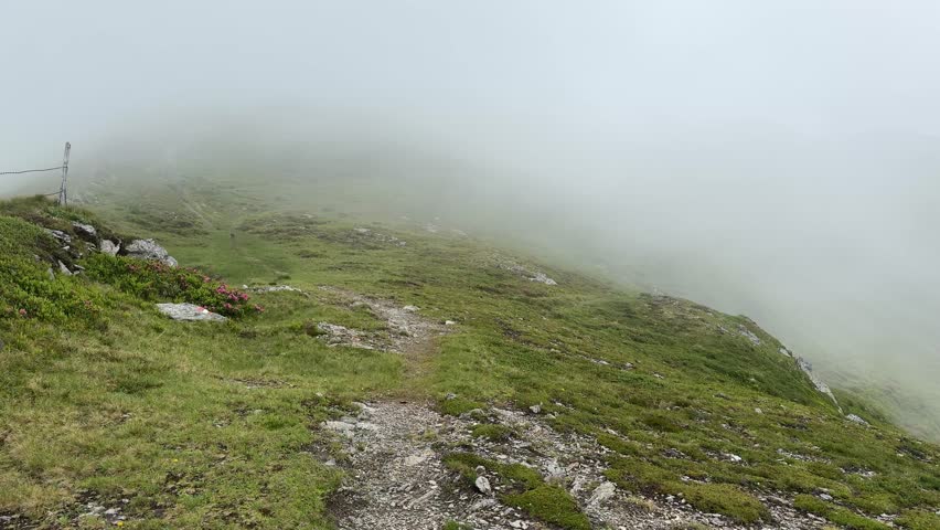 Ethereal summer mist envelops the majestic Austrian Alps in this pan shot, with a serene path winding through lush green slopes and rocky terrain. Experience the tranquil beauty of nature in Salzachgeier and Koenigsleiten, perfect for scenic backdrops. (Ultra HD)
