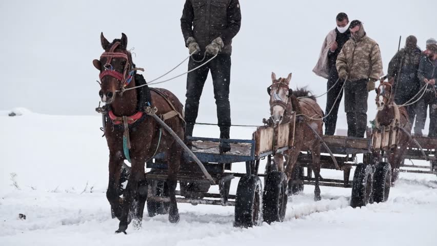 Several people ride on two horse-drawn carts moving through falling snow. White winter landscape and cold mountain atmosphere create a powerful rural countryside scene.