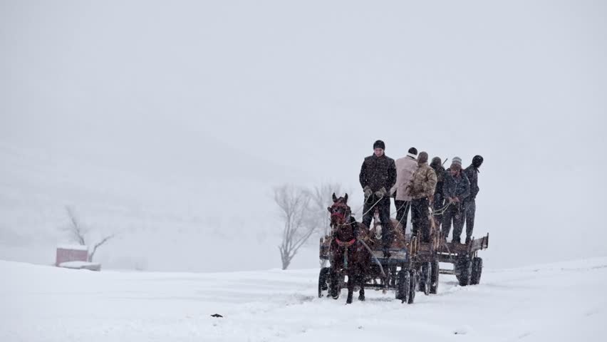Several people ride on two horse-drawn carts moving through falling snow. White winter landscape and cold mountain atmosphere create a powerful rural countryside scene.