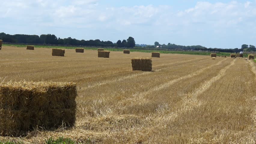 A tractor bales hay in a field against a blue sky.
