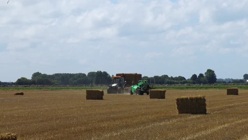 A tractor bales hay in a field against a blue sky.