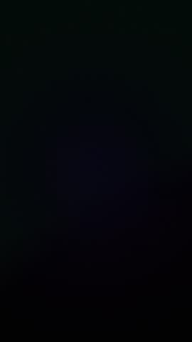 Vertical video: ACCESS DENIED resolving after scanline sweep, glitching to signal lockout. Blocked, digital, interface, circuit, pixelated, static, vertical video