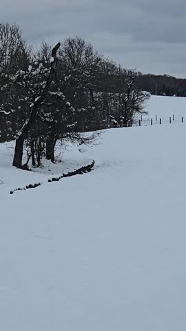 Peaceful snow-covered nature scene – winter landscape view