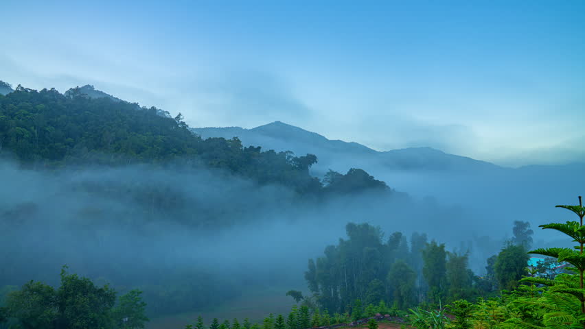 A smooth cinematic time lapse of early morning in a misty forest mountain valley, highlighting drifting fog, soft light, and lush evergreen trees in a tranquil, scenic highland setting.
